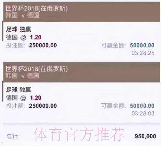 深入解析世界杯买球平台服务功能与优势