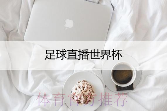 新浪世界杯直播平台：全方位赛事体验